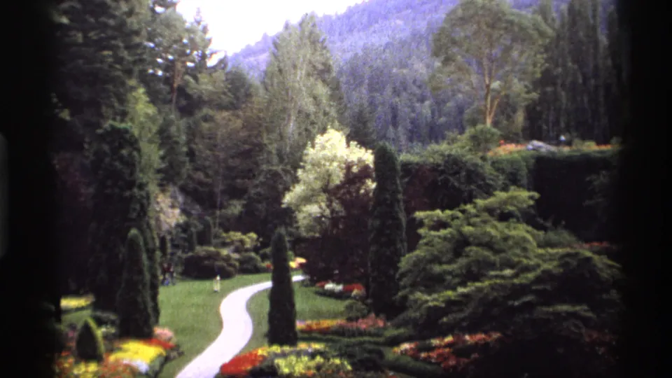 1974 Vancouver garden scene with a pale curving path, colorful beds, dense shrubs, tall trees, and a forested hillside in the background.