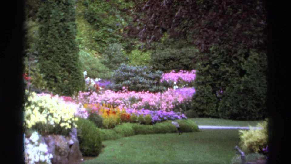 1974 Vancouver 8mm view across a landscaped garden with trimmed hedges, pink flowers, green lawn, shrubs, and a curving path.