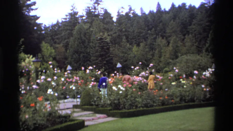 1974 Vancouver garden scene with an adult in a blue jacket and another in yellow among rose beds, hedges, lawn, and trees.