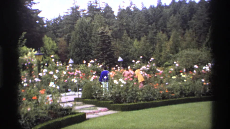 Home-movie frame from 1974 Vancouver showing adults pausing near roses, with clipped hedges, lawn, paths, and tall trees behind.
