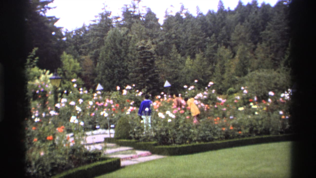 Rose garden with distant visitors, clipped hedges, lawn, stone path, and trees beyond.