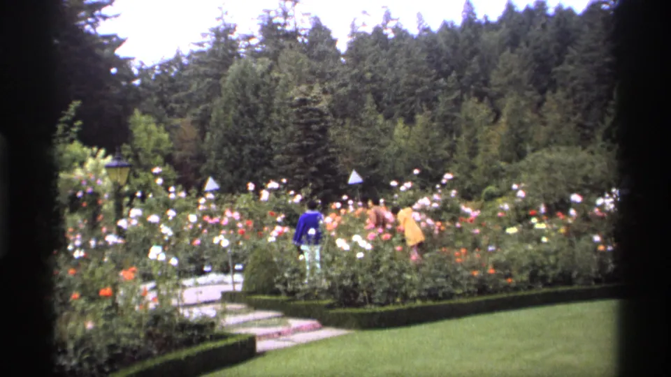 1974 Vancouver home-movie frame showing a rose garden with distant visitors in bright clothing, hedges, lawn, path, and wooded background.