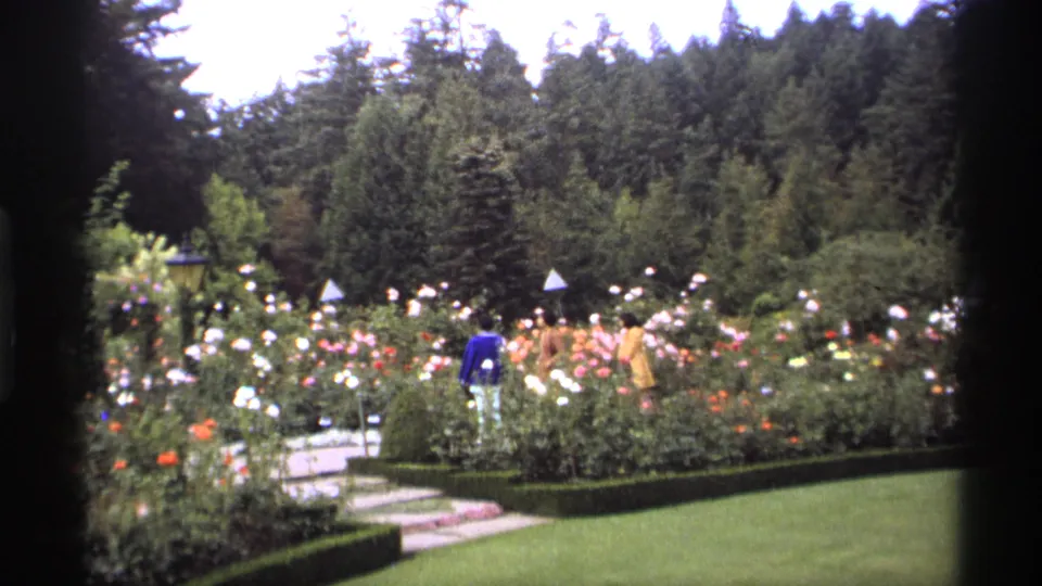 1974 Vancouver garden footage frame with visitors moving through colorful rose beds, bordered by lawn, hedges, and dense trees.