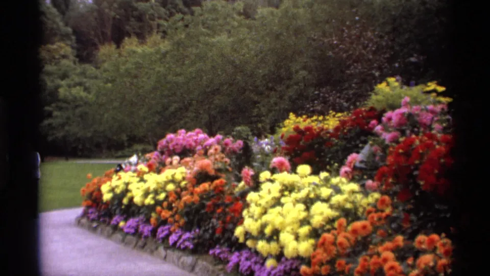 1974 Vancouver 8mm frame showing a curving paved path, dense yellow, orange, purple, red, and pink flowers, lawn, shrubs, and trees.