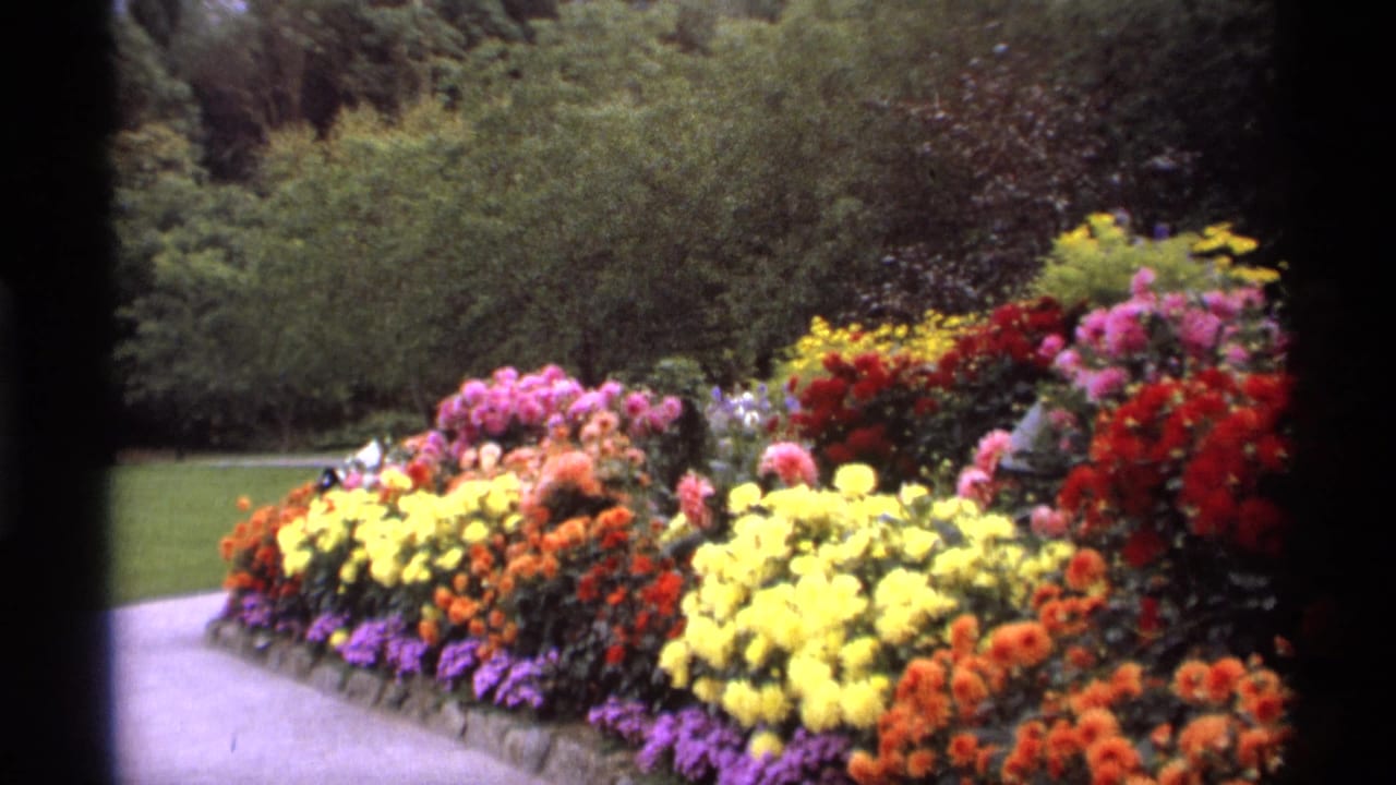1974 Vancouver 8mm frame showing a paved garden path beside dense yellow, orange, red, and pink flowers with trees beyond.