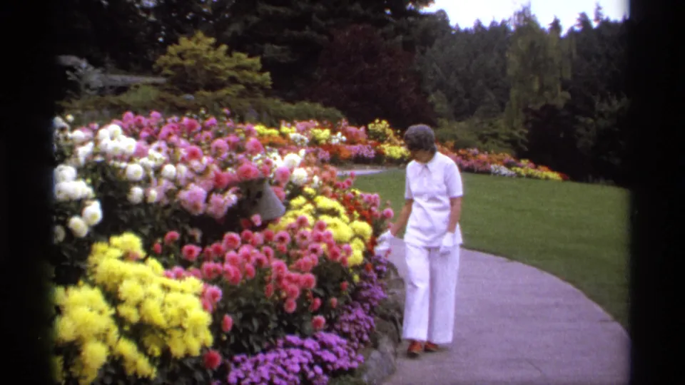 Adult woman in white pauses near vivid flower beds beside a curved path, with lawn and trees behind her in the 1974 Vancouver garden footage.