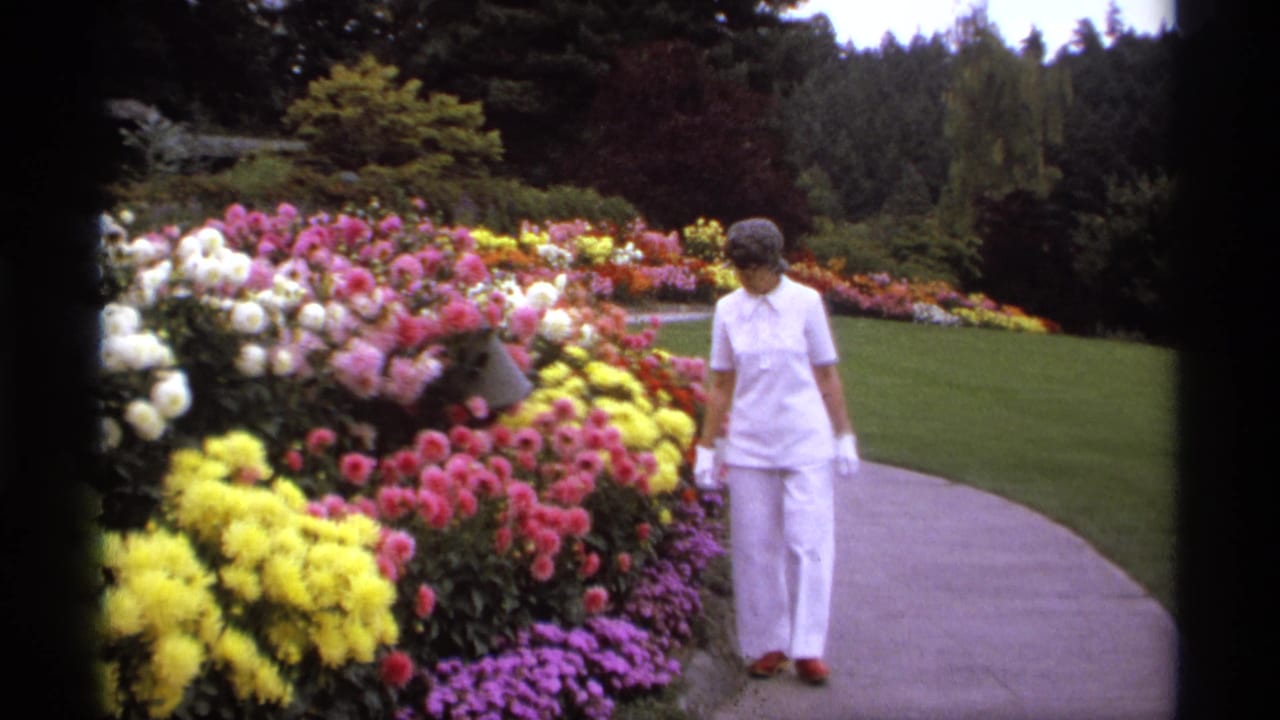 Woman in white walking beside colorful flower beds on a curved garden path.