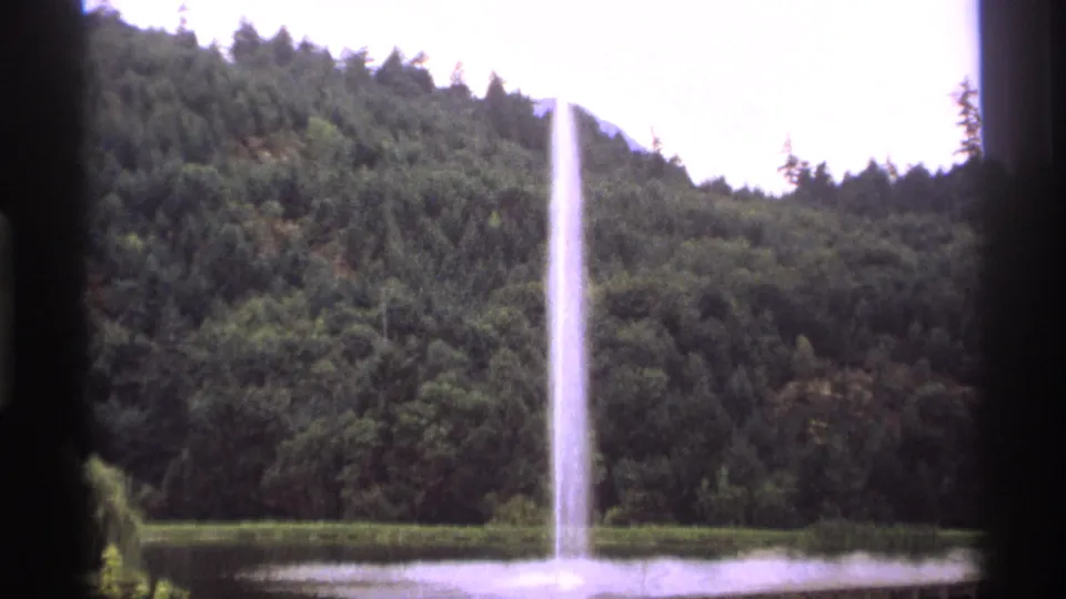 A fountain shoots upward near a tree-lined pond, with dense Vancouver greenery behind it.