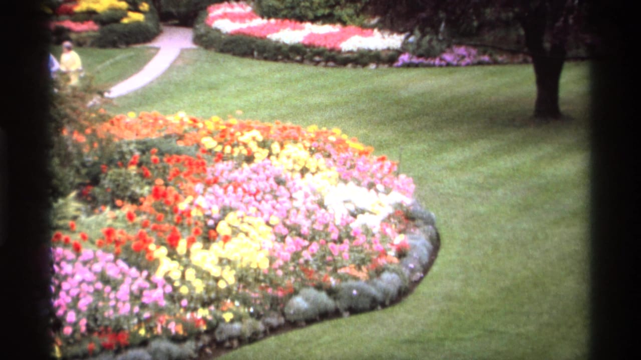 Curved flower bed with red, pink, yellow, and white blooms beside a lawn path.