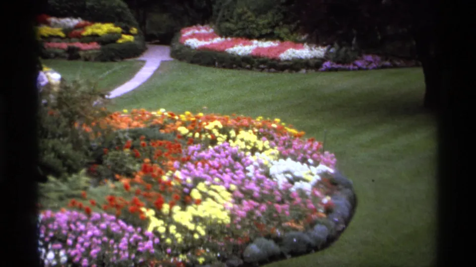 1974 Vancouver garden footage showing a bright flower bed, mowed lawn, curving path, shrubs, trees, and a distant visitor at frame edge.