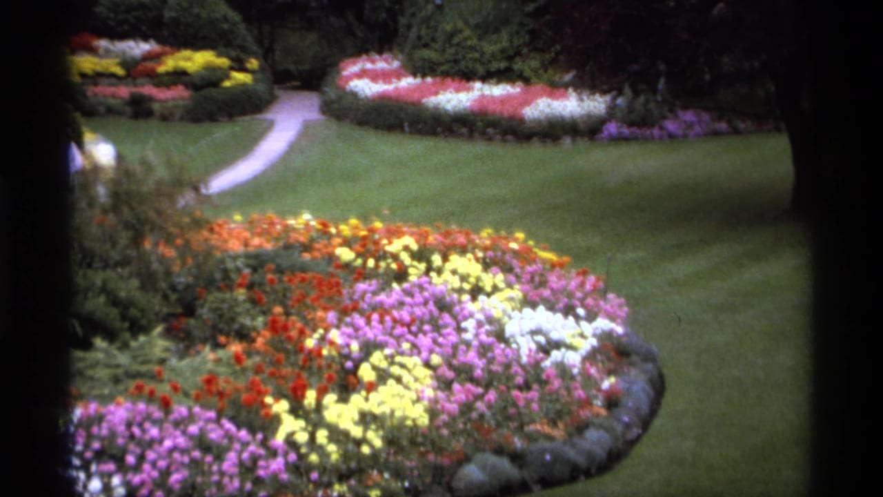 Curved flower beds and lawn with a pale garden path in the background.