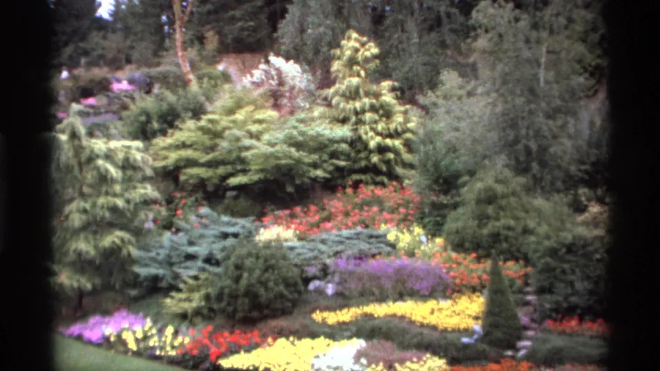 1974 Vancouver 8mm frame of a lush public garden, with bright flower bands, evergreen shrubs, and a narrow stone stairway at the right edge.