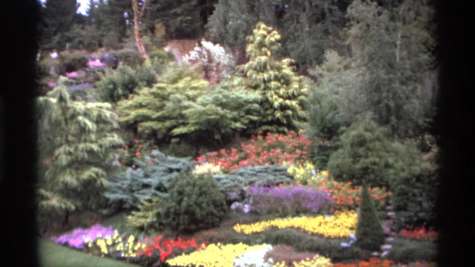 1974 Vancouver 8mm frame showing the landscaped garden from a visitor viewpoint, with dense greenery, vivid flowers, and steps through the slope.