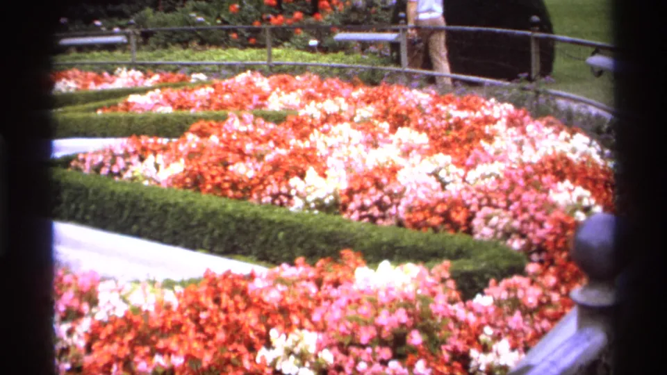 1974 Vancouver home-movie frame looking across dense red, pink, and white flowers with hedges, railing, bench, lawn, and a partial fountain base.