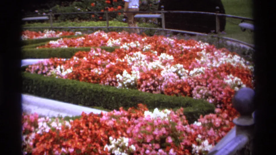 1974 Vancouver garden frame showing red, pink, and white flower beds bordered by hedges, with a railing, lawn, bench, and distant visitors.