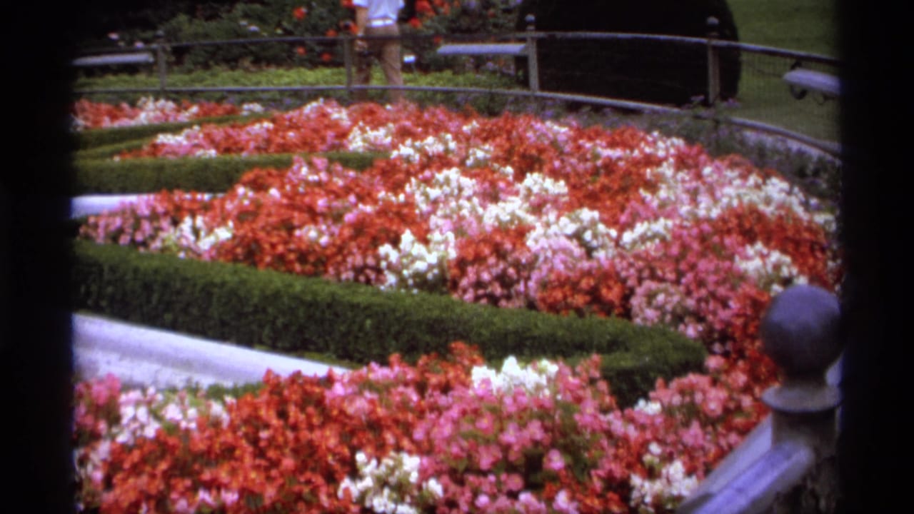 Formal flower beds with red, pink, and white blooms bordered by hedges and a railing.