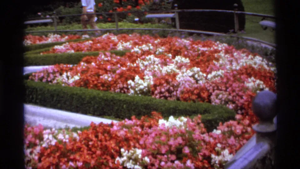 A 1974 Vancouver park garden scene shows bright flower beds, clipped hedges, railings, and a distant visitor partly visible.