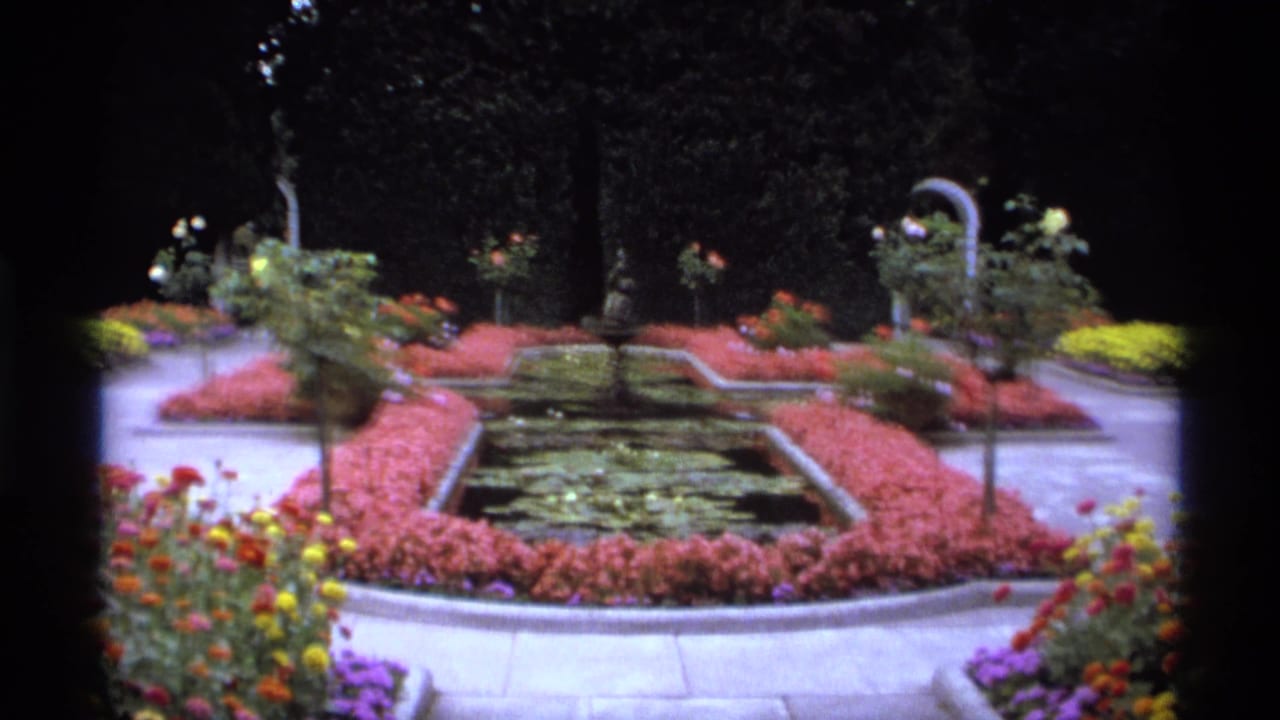 Similar garden view with lily pond, pink planting beds, small trees, and bright flowers.