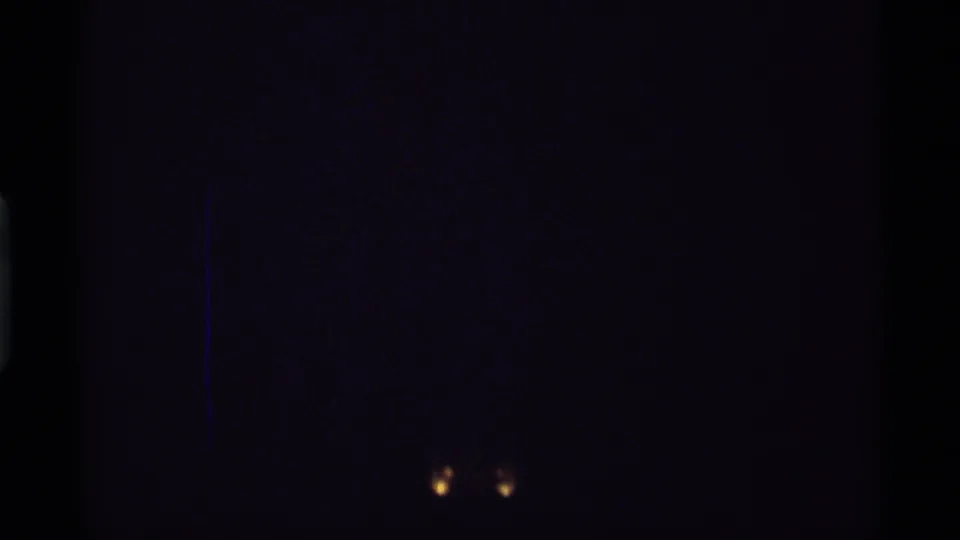 Near-black 8mm tail frame following the garden view, with two small glowing light points near the lower center.