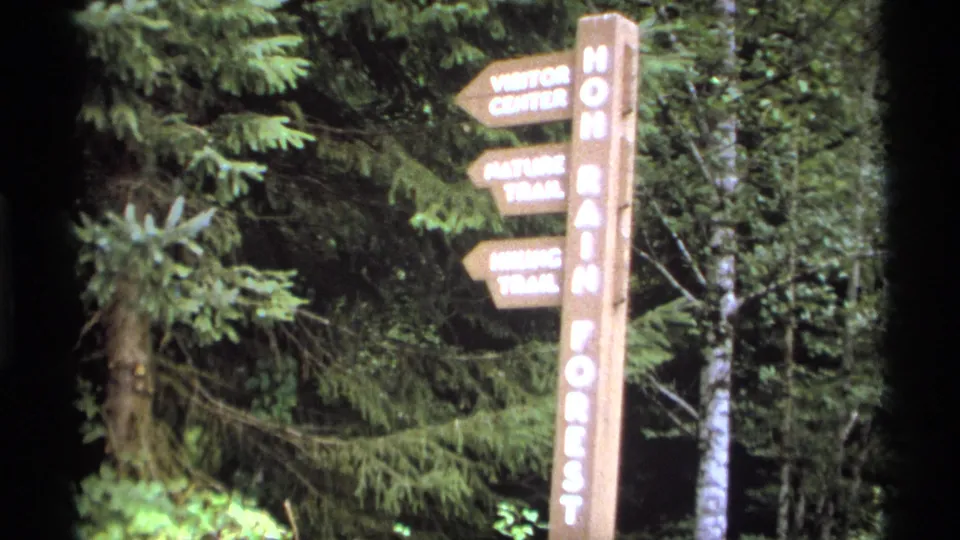 Soft 8mm view of a Hoh Rain Forest directional post with Visitor Center, Nature Trail, and Hiking Trail arrows.