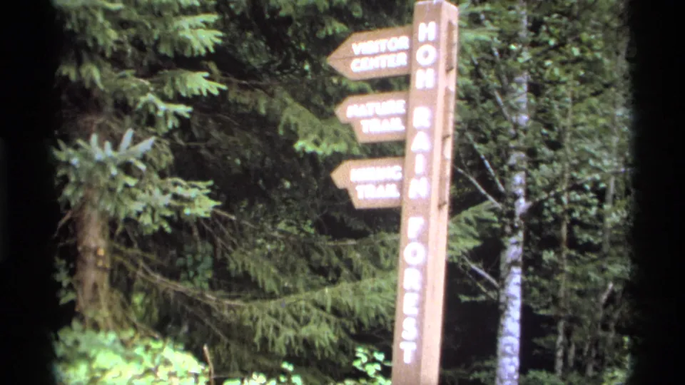 1974 8mm home-movie frame of the Hoh Rain Forest signpost surrounded by conifers and leafy undergrowth.