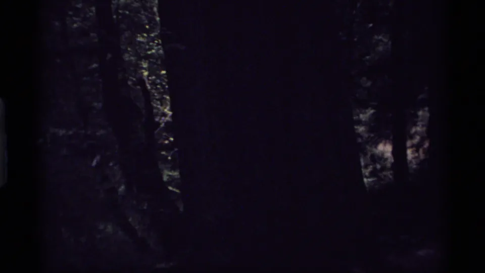 1974 Vancouver 8mm frame with a heavily shadowed forest interior and faint tree trunks along the sides.