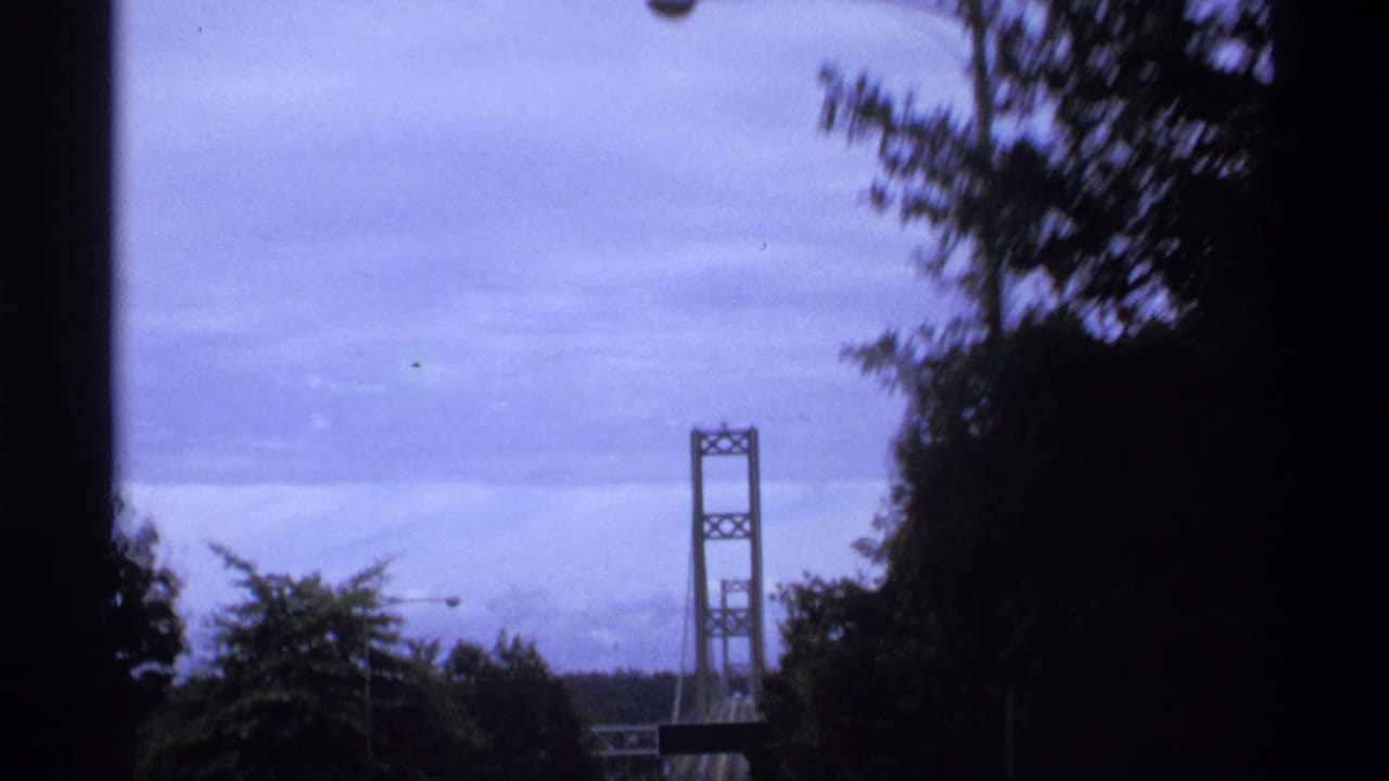 Bridge tower seen beyond trees under a cloudy purple sky.