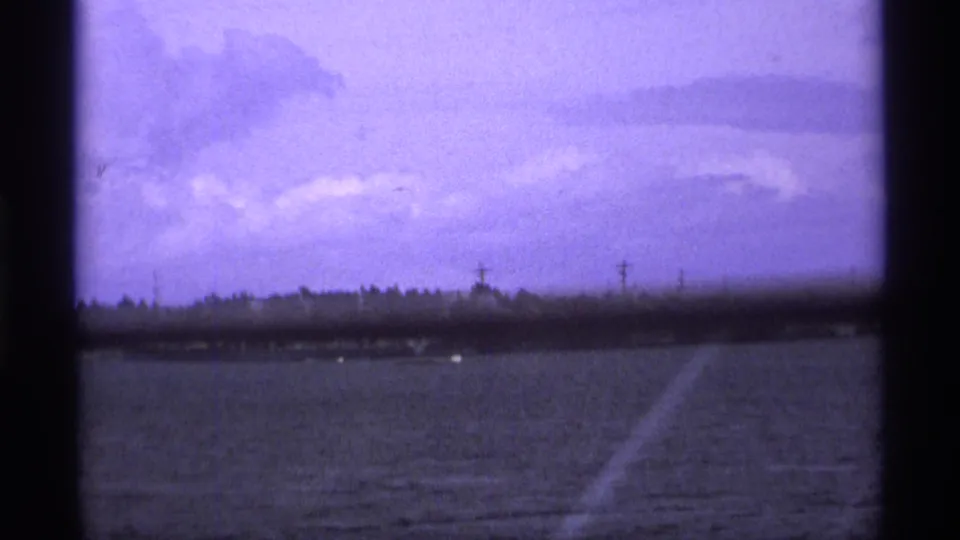 A waterfront view with water in the foreground, distant trees, utility poles, and a purple-blue 8mm color cast.