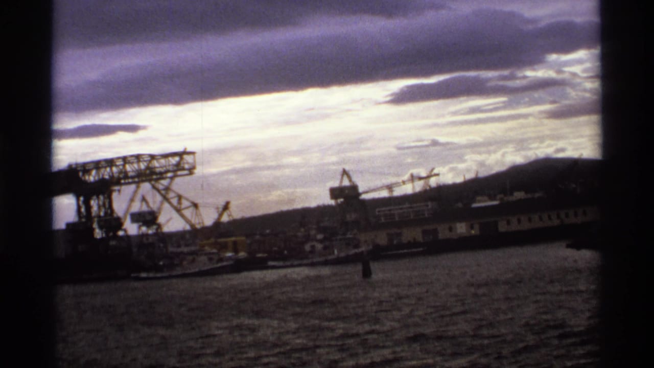 Industrial harbor cranes and vessels seen across rippling water under a purple-gray sky.