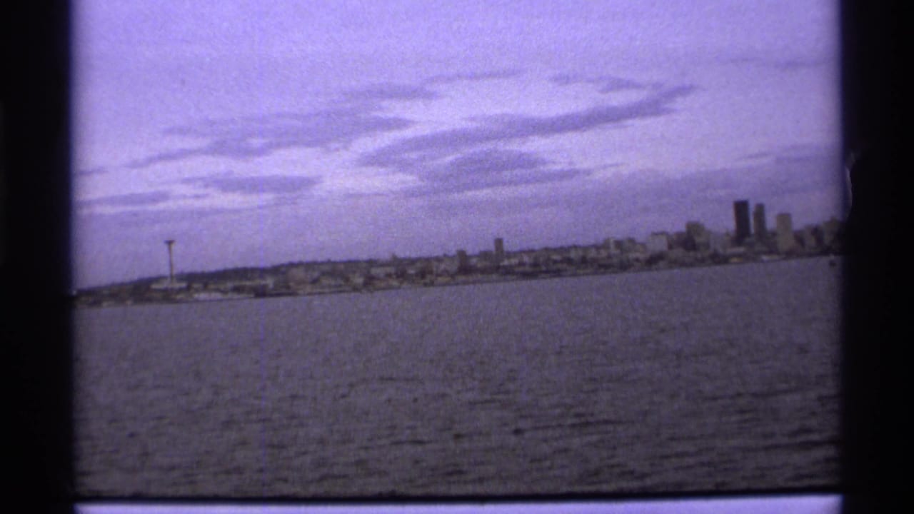 Wide water view with a distant city skyline and tall buildings under a cloudy sky.