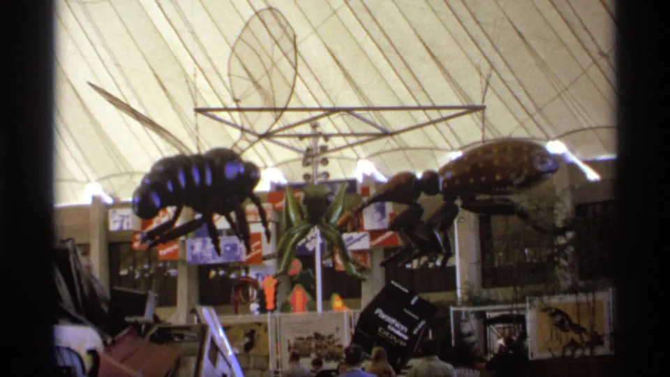 A visitor-shot 8mm frame shows large insect models hanging over display booths, with people walking along the lower edge of the pavilion scene.