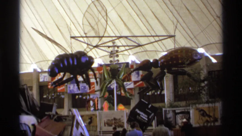 The final frame holds on the tented exhibit area, with glossy oversized insect sculptures, display panels, and visitors along the lower foreground.