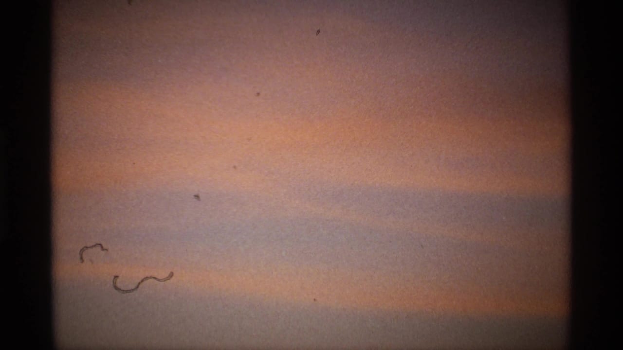 Soft pastel sky with dark film edges and small marks near the left side.