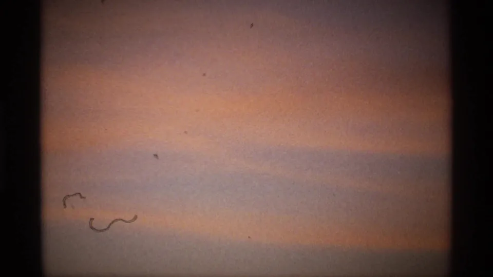 1970s 8mm frame showing a pale sunset sky with soft pink and blue tones, dark gate edges, and visible film dust.