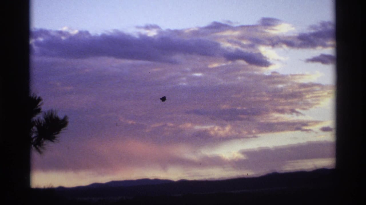 Purple and orange sunset clouds over a dark mountain horizon with a pine silhouette at left.