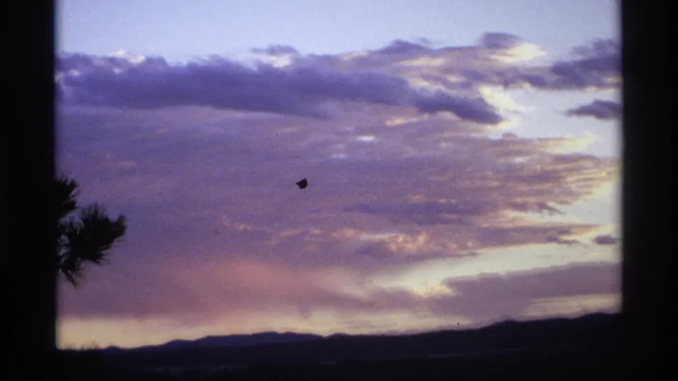 1974 8mm home-movie frame showing sunset clouds above a dark mountainous horizon, with a pine branch silhouette at the left edge.