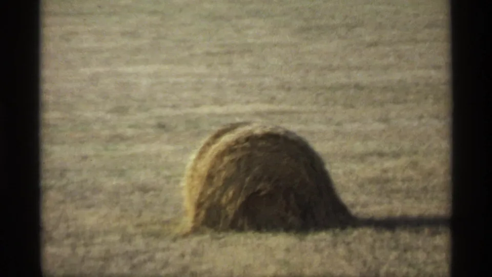 A rounded hay mound rests in a grassy field, with soft 8mm grain, muted color, and dark frame borders visible.