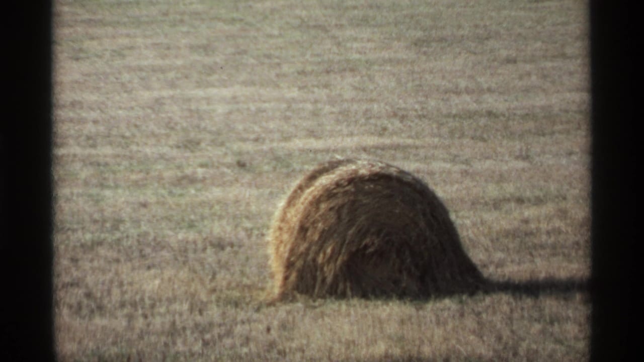 Hay bale in a dry field with a long shadow across the grass.
