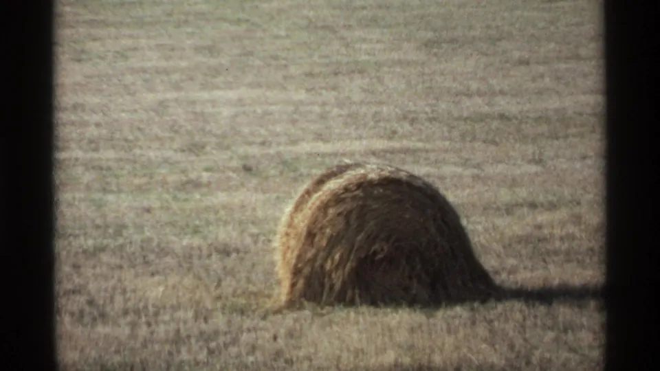 A single rounded hay bale appears in a dry field, with a dark horizontal shadow and soft 8mm grain.