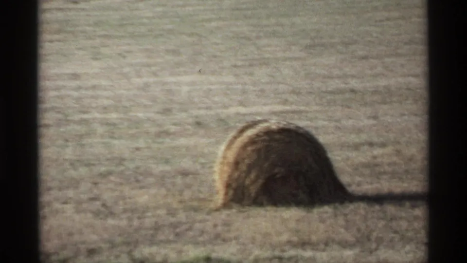 A rounded hay bale fills more of the frame in a dry grass field, seen through faded 8mm home-movie color.