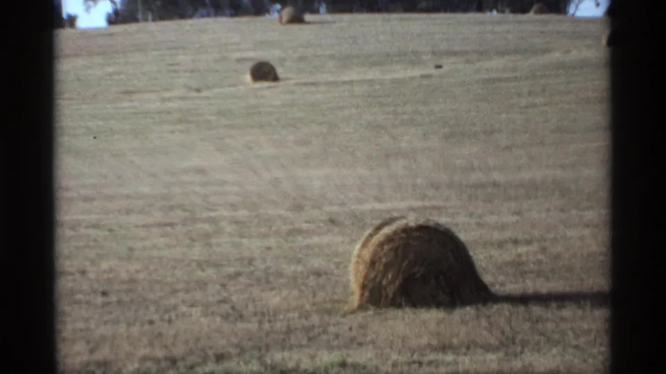 A hay bale sits in the foreground of a rolling dry field, with additional small bales and a distant tree line visible.