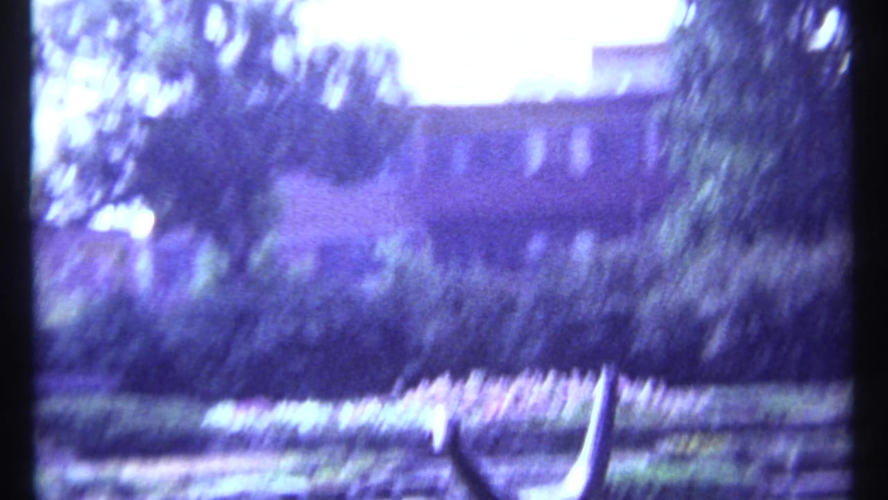 Soft, handheld view across a garden with hedges, trees, and a curved bench.