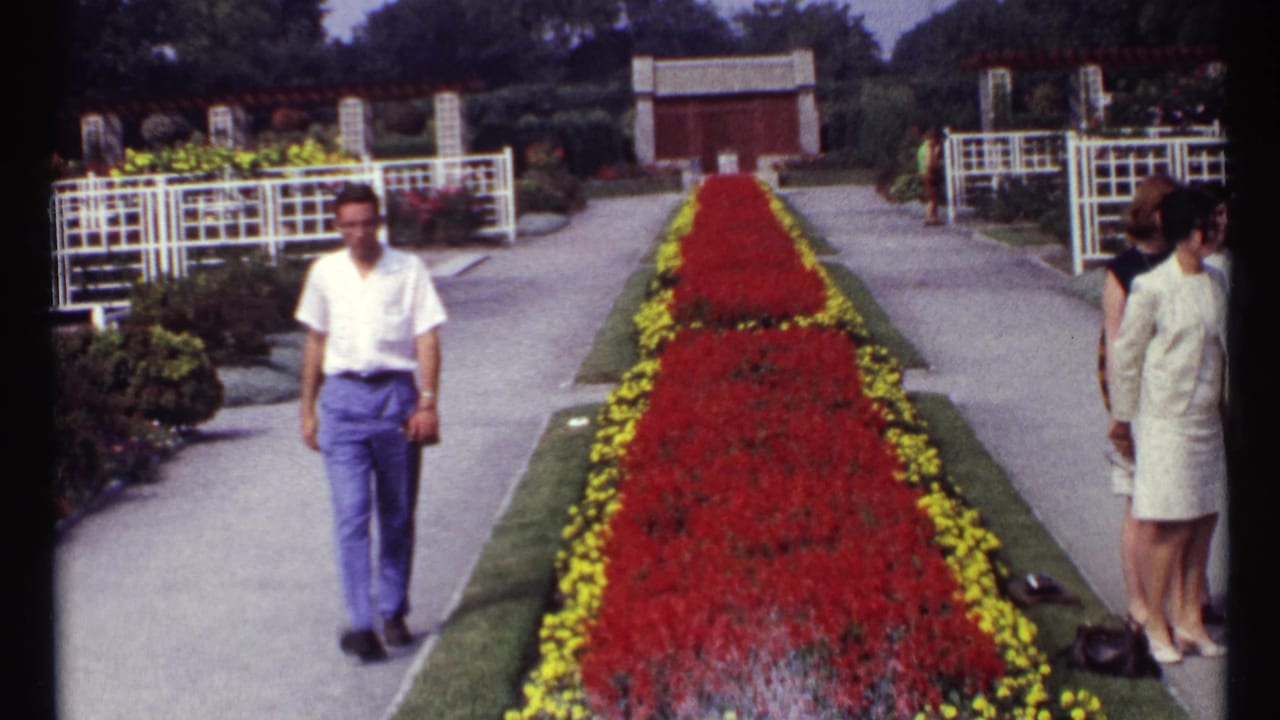 Man walking on a paved garden path beside red and yellow flower beds.