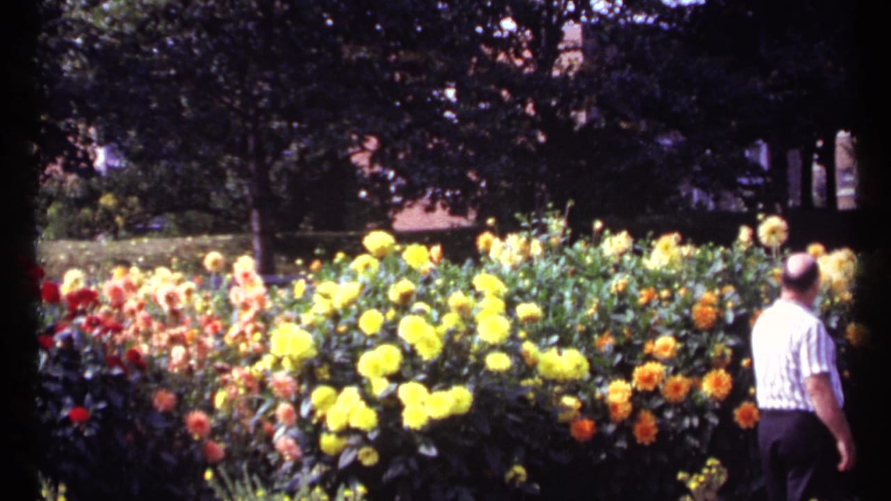 Wide flower bed with yellow and orange blooms and a man standing at right.