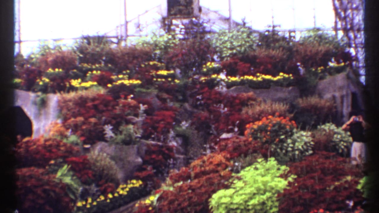 Tiered greenhouse flower beds with a small waterfall and glass roof structure.