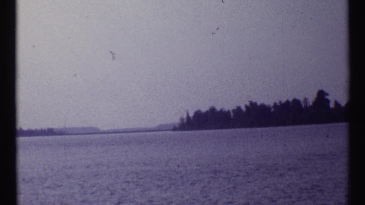 Distant tree-lined shoreline across calm lake water with visible film grain.