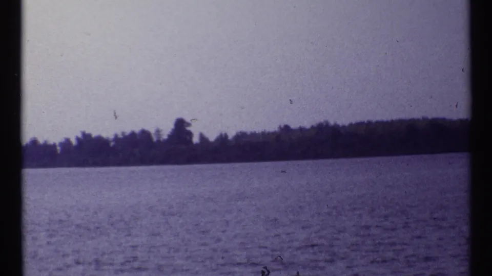 Faded 8mm frame from the Canadian lake clip showing water, distant trees, and a slightly drifting handheld horizon.