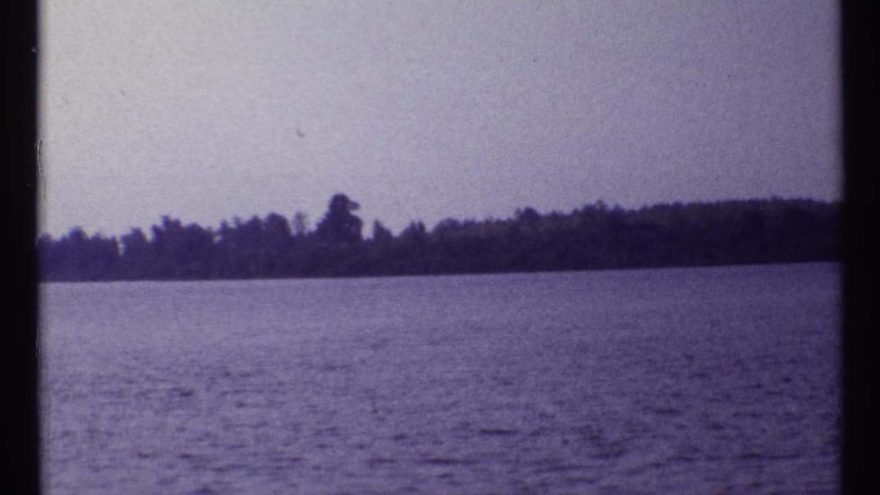 1967 Montreal 8mm frame showing open water, a dark tree-lined shoreline, and pale sky with purple film color cast.