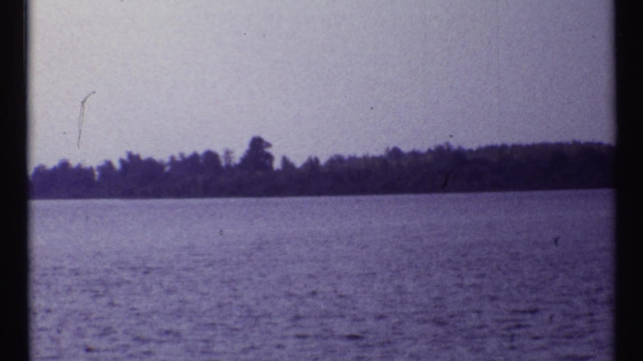 Wide water view with a low wooded shoreline and pale sky.