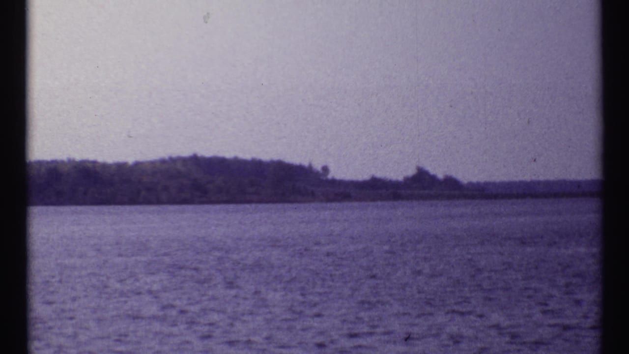A small bird crosses above calm water near a distant shoreline.